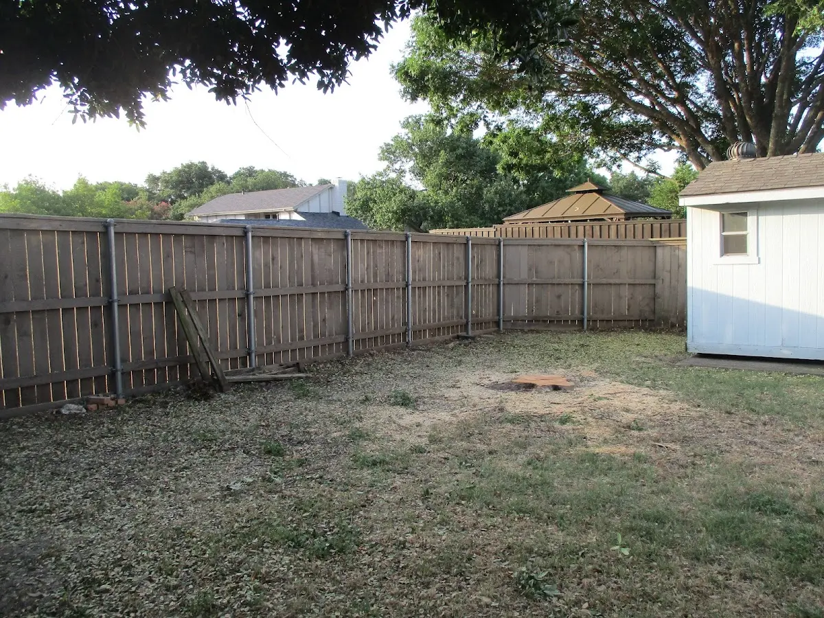 Cleared yard after professional tree removal in Falls Village